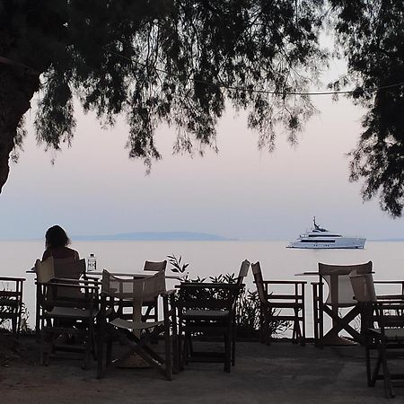 Georgoshouse Lykos Beach Sfakia Livaniana Exterior foto
