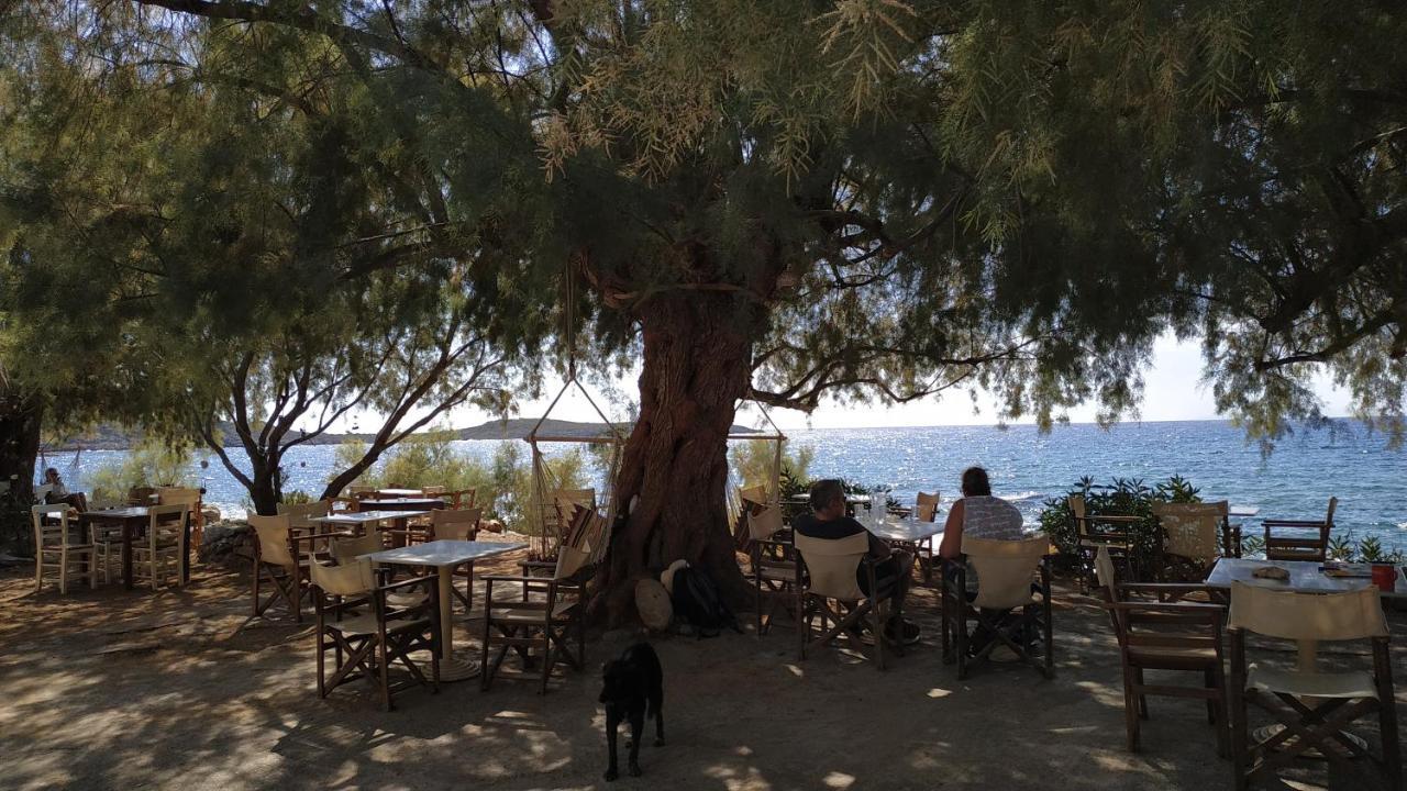 Georgoshouse Lykos Beach Sfakia Livaniana Exterior foto