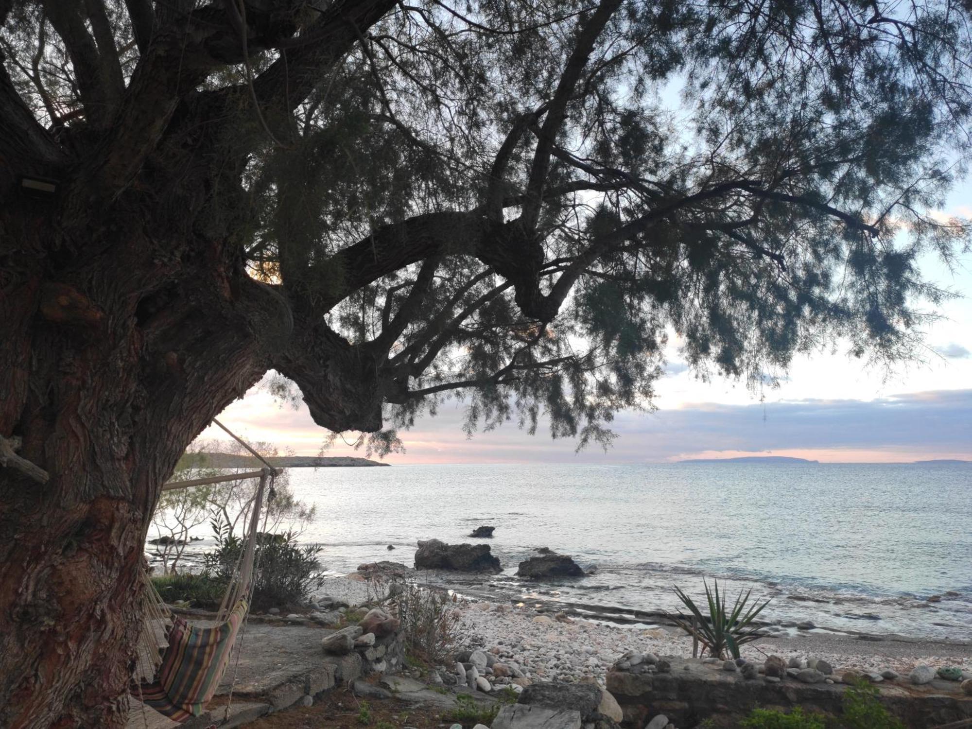 Georgoshouse Lykos Beach Sfakia Livaniana Exterior foto