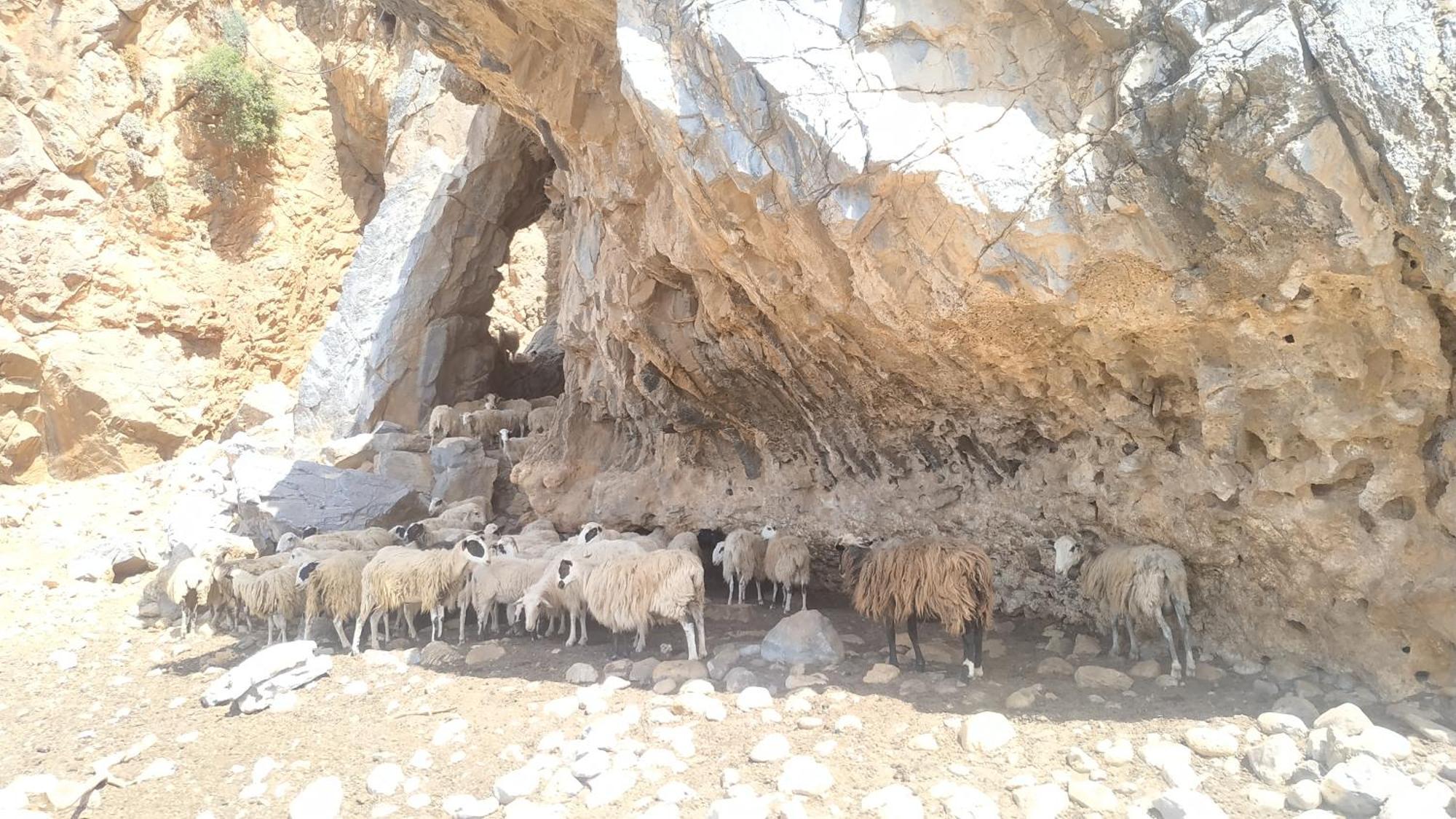 Georgoshouse Lykos Beach Sfakia Livaniana Exterior foto