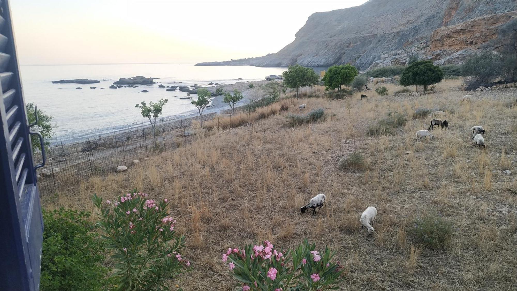Georgoshouse Lykos Beach Sfakia Livaniana Exterior foto