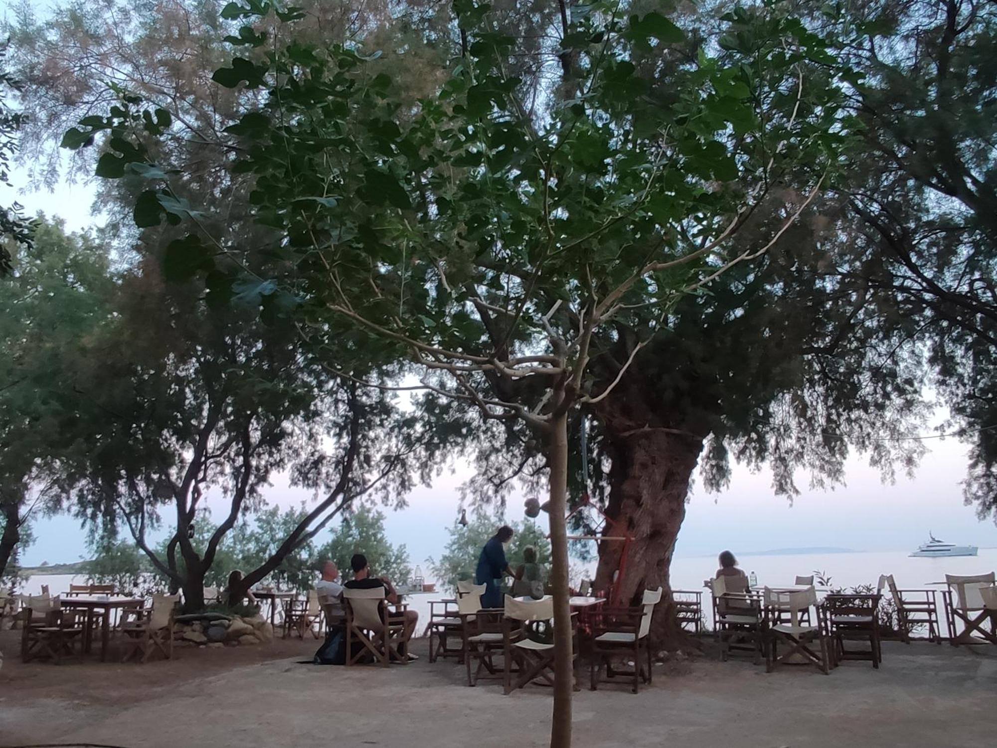 Georgoshouse Lykos Beach Sfakia Livaniana Exterior foto